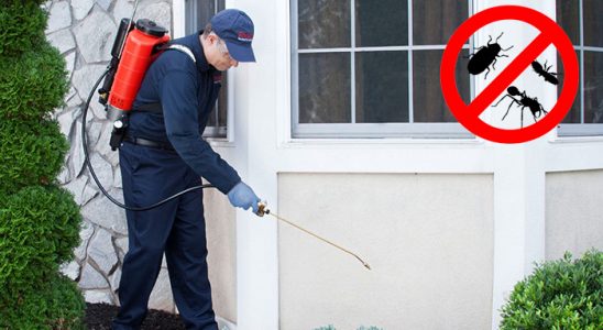 Küre Bit İlaçlama böcek ilaçlama ve haşere kontrolü — ilaclama-tr.com